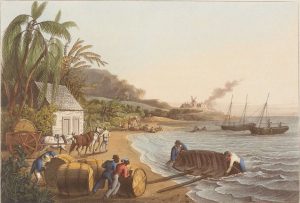 Sugar production by slaves in the Caribbean.